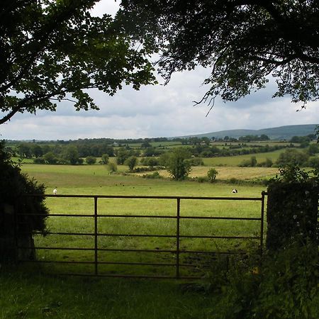 Brandon View House B&B Graiguenamanagh Экстерьер фото