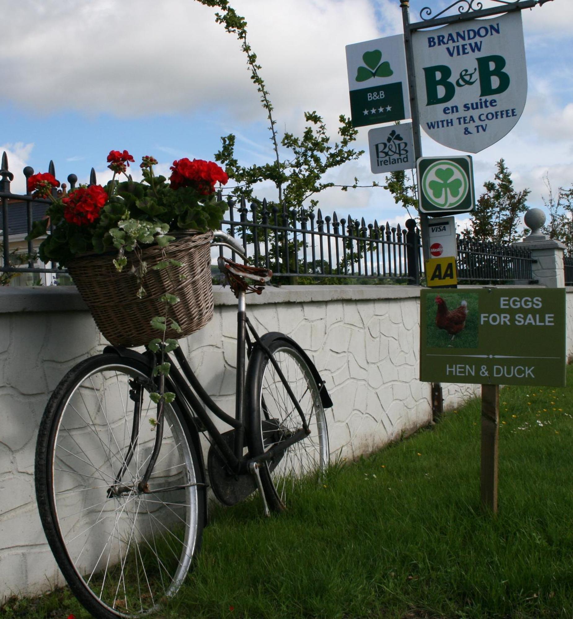 Brandon View House B&B Graiguenamanagh Экстерьер фото