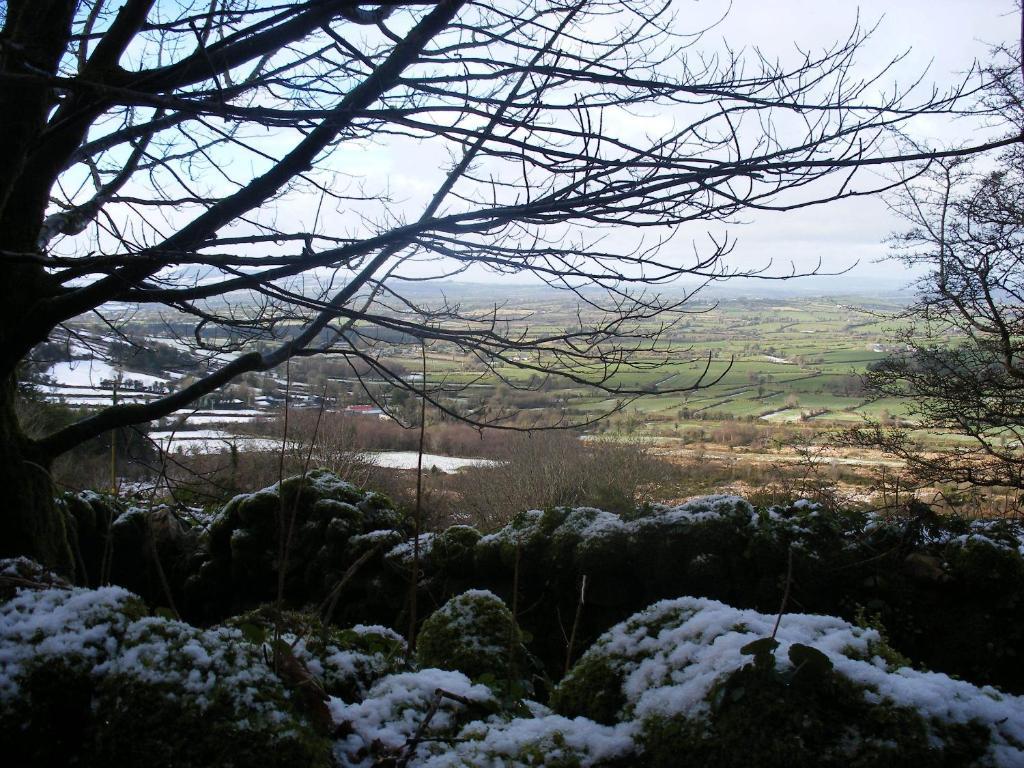 Brandon View House B&B Graiguenamanagh Экстерьер фото