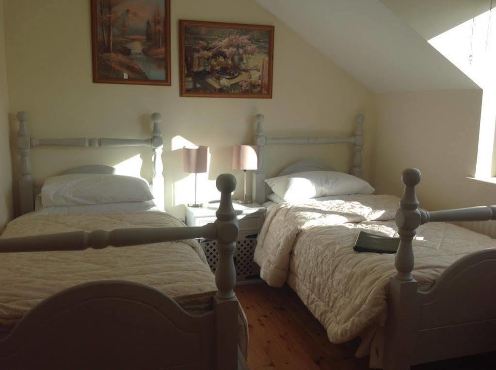Brandon View House B&B Graiguenamanagh Экстерьер фото