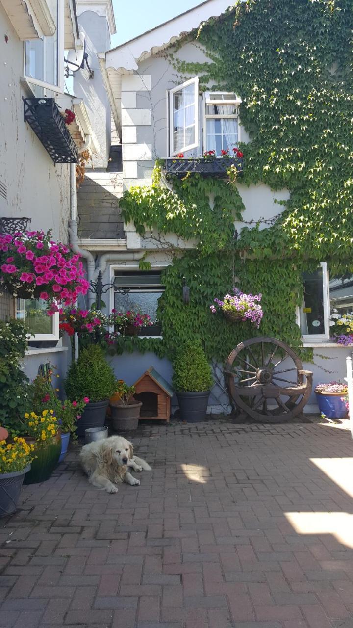 Brandon View House B&B Graiguenamanagh Экстерьер фото