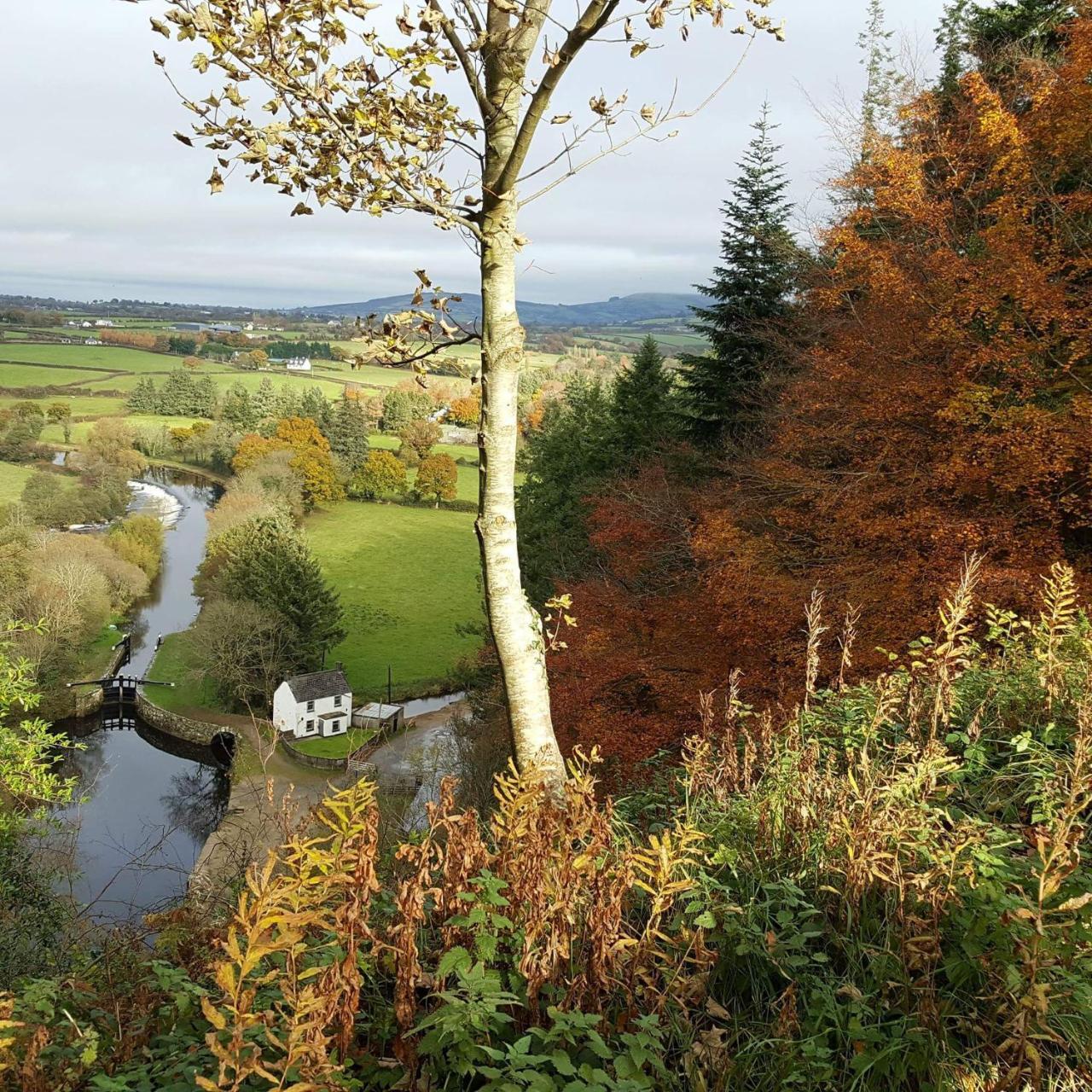 Brandon View House B&B Graiguenamanagh Экстерьер фото